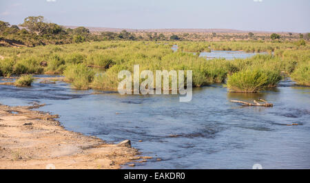 KRUGER NATIONAL PARK, Südafrika - Fluss Stockfoto