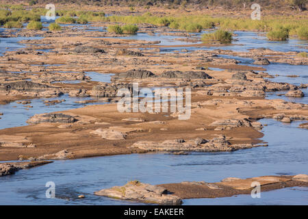 KRUGER NATIONAL PARK, Südafrika - Olifants River. Stockfoto