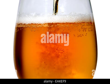 Bier wird in ein großes Glas gegossen Stockfoto