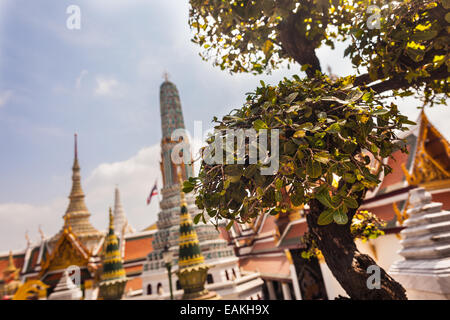 Details der Wat Phra Kaeo, der Tempel des Smaragd-Buddha, Bangkok, Thailand. Stockfoto