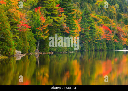 Mit Blick auf Blase Teich im Herbst Farben im Acadia National Park, Maine, USA. Stockfoto