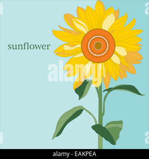 dekorative Sonnenblume am blauen Himmel Stockfoto