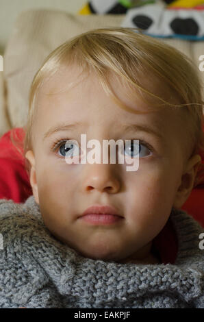 Ein blond und blauäugig Baby junge (ca. 18 Monate alt) in einem Strickpullover. Stockfoto