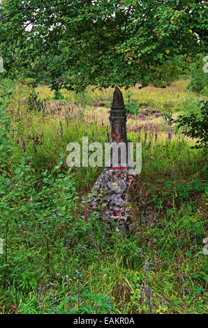 Waldlandschaft. Altes Denkmal für die Benennung von der höchsten Stelle. Stockfoto