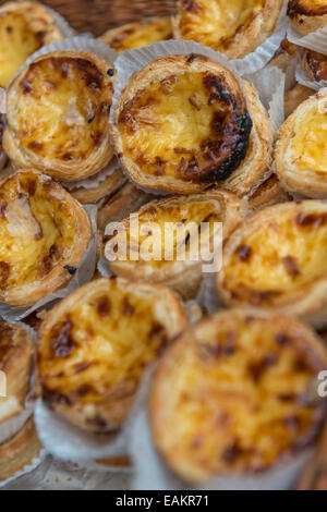 Ein Tablett mit portugiesischer Pudding Kuchen auf dem display Stockfoto