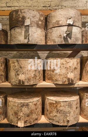 Gesamten Blauschimmelkäse gewickelt und Alterung in Regalen Stockfoto