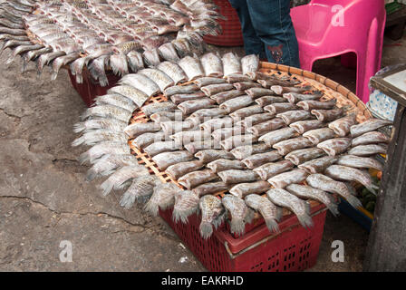 Fisch auf dem thailändischen Markt Stockfoto