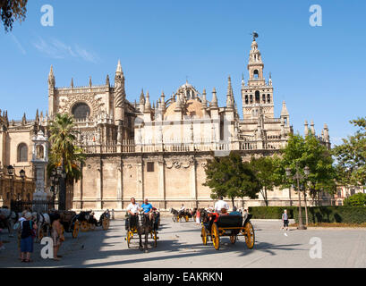 Pferde-Kutschen-Fahrten für Touristen im historischen Zentrum in der Nähe der Kathedrale, Sevilla, Spanien Stockfoto