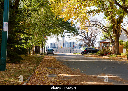 von Bäumen gesäumten Wohnstraße im Herbst mit Blick auf Delta Bessborough Hotel Saskatoon Saskatchewan Kanada Stockfoto