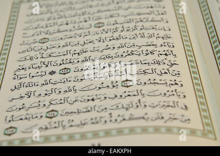 Nahaufnahme der arabischen Schrift in einen Koran Stockfoto
