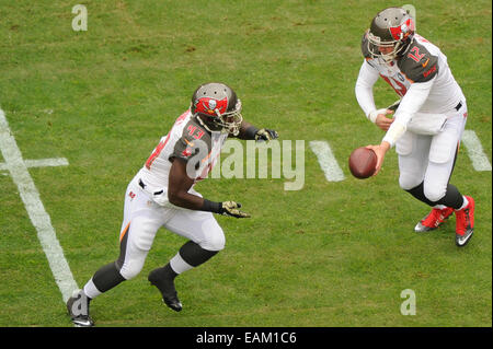 16. November 2014: Tampa Bay Buccaneers quarterback Josh McCown (12) Hände weg, Tampa Bay Buccaneers Runningback Bobby Rainey (43) während das Matchup zwischen den Tampa Bay Buccaneers und die Washington Redskins bei FedEx Field in Landover, Maryland. Stockfoto