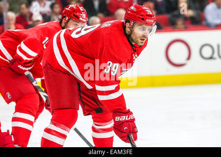 Raleigh, North Carolina, USA. 10. November 2014. Carolina Hurricanes rechten Flügel Patrick Dwyer (39) während des NHL-Spiels zwischen den Calgary Flames und die Carolina Hurricanes in der PNC-Arena. Die Carolina Hurricanes besiegten die Calgary Flames 4-1. © Andy Martin Jr./ZUMA Draht/Alamy Live-Nachrichten Stockfoto