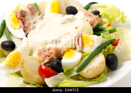 Frisch zubereitete traditionelle Nicoisesalat mit Thunfisch, Ei, Kartoffel, Mayo, Salat, Bohnen und Oliven gesehen Nahaufnahme. Stockfoto