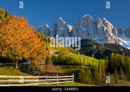 Herbstliche Ansicht unterhalb der Geisler Spitzen, Dolomiten, Val di Funes, Trentino-Alto-Adige, Italien Stockfoto