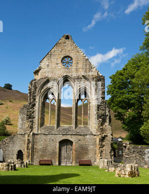 Reich verzierte Fassade der Abtei aus dem 13. Jahrhundert Valle Crusis Ruinen am Fuße der grasbewachsenen Hügel und unter blauem Himmel in der Nähe von Llantysilio in Wales Stockfoto