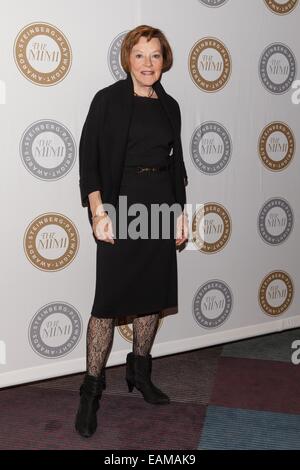 New York, NY, USA. 17. November 2014. Helen Carey im Ankunftsbereich für The Harold und Mimi Steinberg Charitable Trust Gastgeber 2014 Steinberg Distinguished Playwright Award, Mitzi E. Newhouse Theater im Lincoln Center, New York, NY 17. November 2014. Bildnachweis: Jason Smith/Everett Collection/Alamy Live-Nachrichten Stockfoto