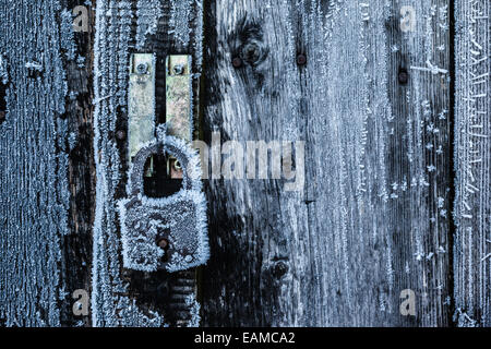 Ein Vorhängeschloss mit Eiskristallen, die in den kalten Wintermonaten auf ihm wachsen Stockfoto