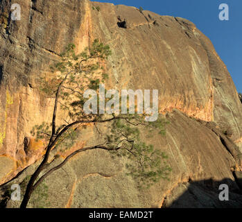 CA02403-00... Kalifornien - Klippen von West Fork Chalone Creek Trail im Pinnacles National Park gesehen. Stockfoto