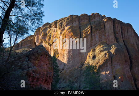 CA02404-00... Kalifornien - Flechten färben die Felswände auf den Balkonen im Pinnacles National Park. Stockfoto