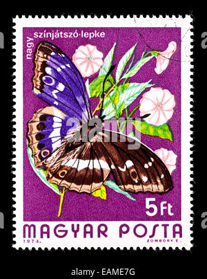 Briefmarke aus Ungarn mit lila Kaiser Schmetterling (Apatura Iris) Stockfoto