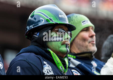 Kansas City, Missouri, USA. 16. November 2014. Seattle Seahawks Fan während der NFL-Spiel zwischen den Seattle Seahawks und die Kansas City Chiefs am Arrowhead Stadium in Kansas City, Missouri. Die Häuptlinge besiegt die Seahawks 24-20. © Csm/Alamy Live-Nachrichten Stockfoto