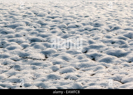 eine schneebedeckte rundum im Wald mit Hügel Stockfoto