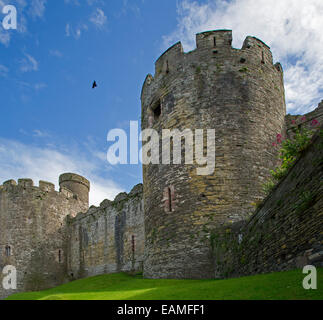 Historischen 13. Jahrhundert Conwy Castle in Wales mit riesigen Rundtürmen durchbohren in blauen Himmel mit Wolken durchzogen Stockfoto