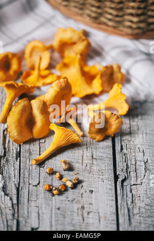 Pfifferlinge auf einem Holztisch Stockfoto