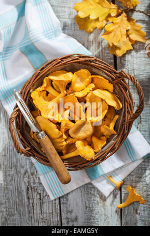 Pfifferlinge in einem Korb Stockfoto