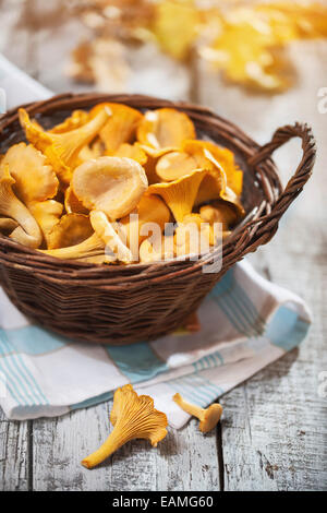 Pfifferlinge in einem Korb Stockfoto