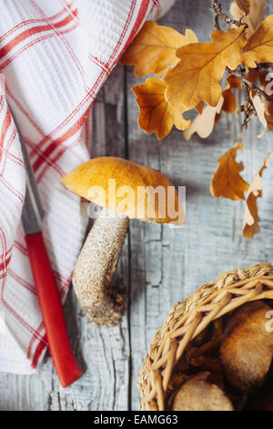 Aspen Pilz auf einem Küchentisch Stockfoto