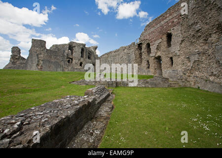 Ruinen des 13. Jahrhunderts Denbigh Castle mit grauen Steinmauern entsteigen smaragdgrünen Rasen, blauer Himmel, Wales Stockfoto