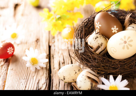 Ostereier im Nest mit Kamillen Blüten, platziert auf Holztisch Stockfoto