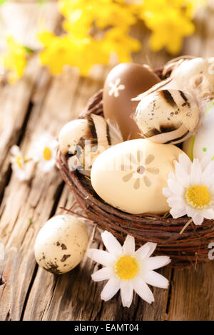 Ostereier im Nest mit Kamillen Blüten, platziert auf Holztisch Stockfoto