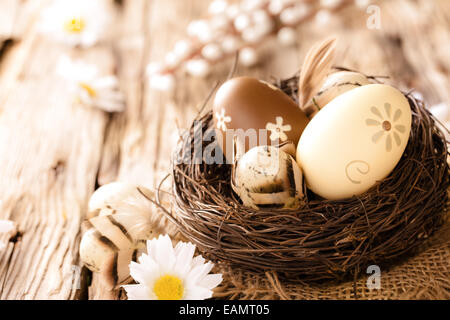 Ostereier im Nest mit Kamillen Blüten, platziert auf Holztisch Stockfoto