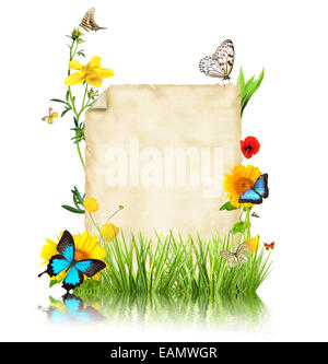 Konzept des Frühlings mit leerem Papier für Text. isoliert auf weißem Hintergrund Stockfoto