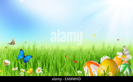Frische Frühlingswiese mit Ostereiern und Schmetterlinge Stockfoto