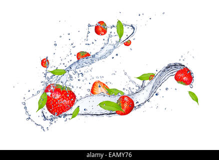 Frische Erdbeeren im Wasser planschen, isoliert auf weißem Hintergrund Stockfoto