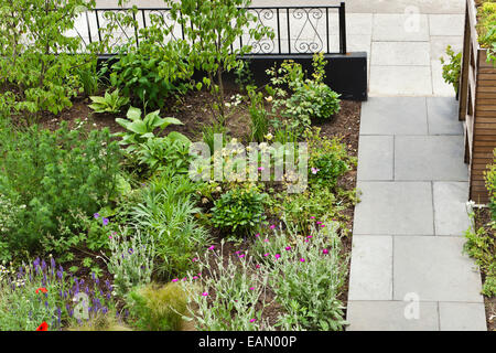 Gemischte Pflanzung vor Garten mit gepflasterten Pfad des Hauses in Muswell Hill, London, UK Stockfoto