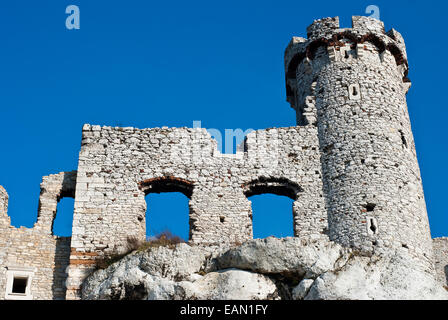 Die alte Burgruine in Ogrodzieniec, Polen Stockfoto