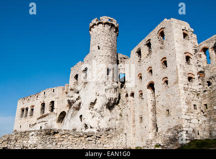 Die alte Burgruine in Ogrodzieniec, Polen Stockfoto