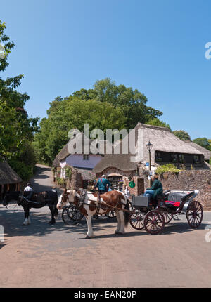 Die alte reetgedeckte Dorf von Cockington in Devon mit seinen Pferd gezeichnet Mietpferd Wagen, England Stockfoto