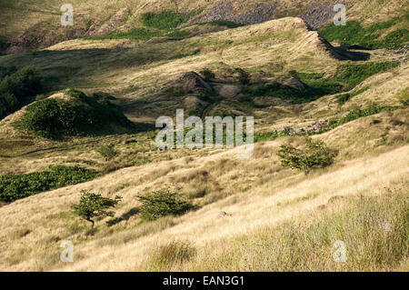 Erdrutsch Feture zurückgerufen die Stuten unter Coombes Rand Charlesworth, Derbyshire. Sommer Moorland Gräser in am Nachmittag Licht Stockfoto