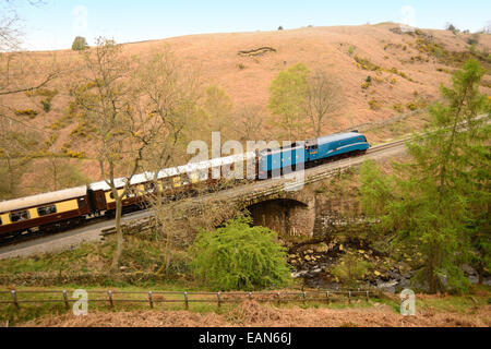 Klasse A4 Pacific No 4464 Bittern schleppt den pullman-Speisezug über den Eller Beck, raucht trotz des steilen Gefälles nicht. 29.. April 2014. Stockfoto