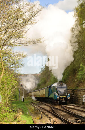 Klasse A4 Pacific Nr. 4464 Rohrdommel Ankunft am Bahnhof Goathland auf der North Yorkshire Moors Railway, gebunden für Pickering. Stockfoto