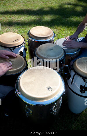 Musiker spielen eine Bongo-Trommel. Stockfoto