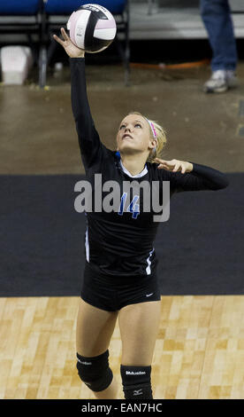 Cedar Rapids, Iowa, USA. 14. November 2014. Deich-New Hartford Madison Lavenz, während der westlichen christlichen Vs Deich-New Hartford 2A Meisterschaft Sammelklage von der Iowa High School Mädchen Volleyball Landesmeisterschaften in Cedar Rapids, Iowa Freitag, 14. November 2014, spielte gegen westlichen christlichen dient. Foto: Quad City Times: Louis Brems © Louis Brems/Quad-City Times / ZUMA Draht/Alamy Live News Stockfoto