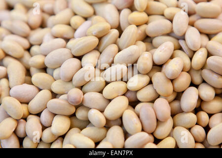 Cannellini Bohnen in Berkeley, Bauernmarkt. Stockfoto