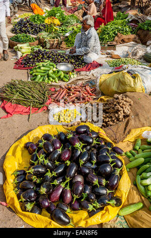 Gemüsemarkt, Jaipur, Rajasthan, Indien Stockfoto