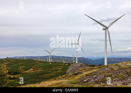 Windkraftanlagen auf einem Hügel für die Erzeugung von sauberer und erneuerbarer Energie in Terras Altas de Fafe, Portugal Stockfoto